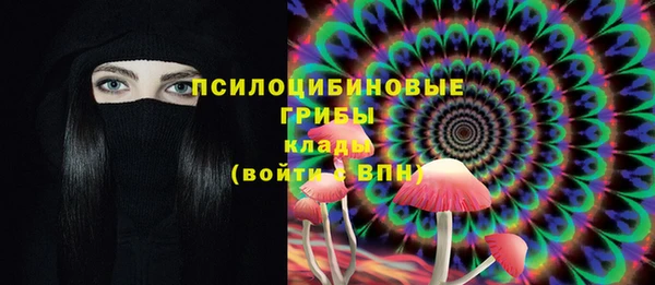 не бодяженный Верхний Тагил