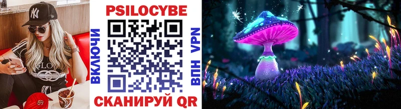 Псилоцибиновые грибы Magic Shrooms  Кизел 